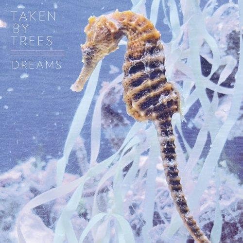 Taken By Trees - Dreams (12" Single)