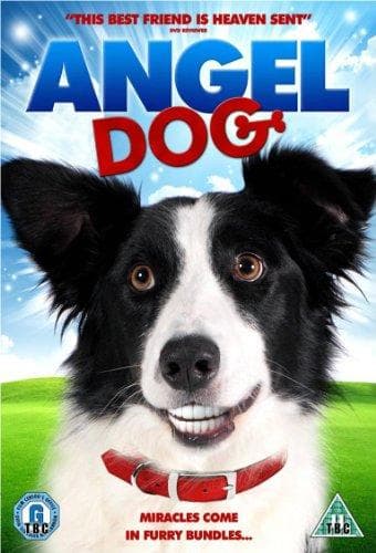 Angel Dog (Import)