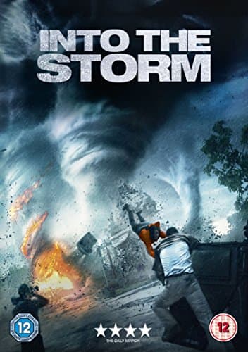 Into The Storm (Import)