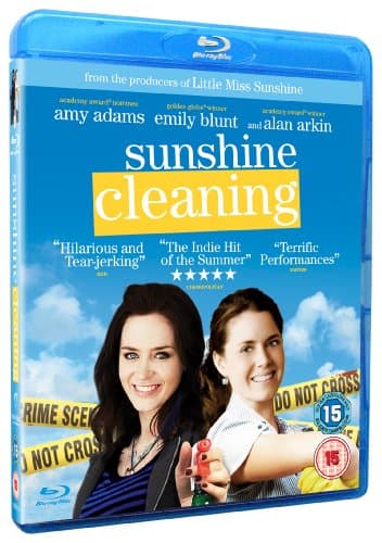 Sunshine Cleaning (Import)