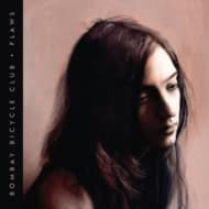 Bombay Bicycle Club - Flaws (uk)