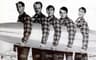 The Beach Boys