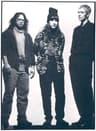 Dinosaur Jr.
