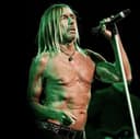 Iggy Pop