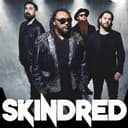 Skindred