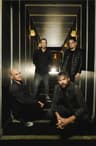 The Pineapple Thief