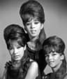 The Ronettes