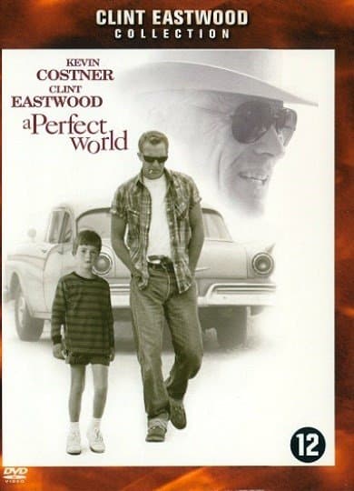 Perfect world (DVD)