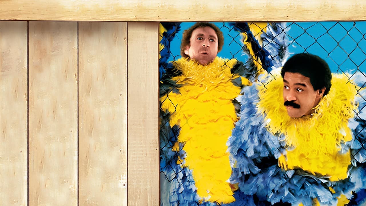 Stir Crazy (DVD)