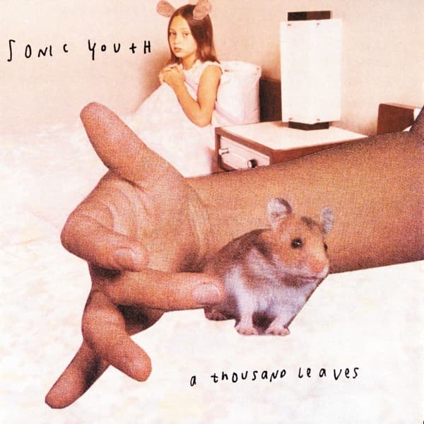 Sonic Youth - A Thousand Leaves (2 LP)