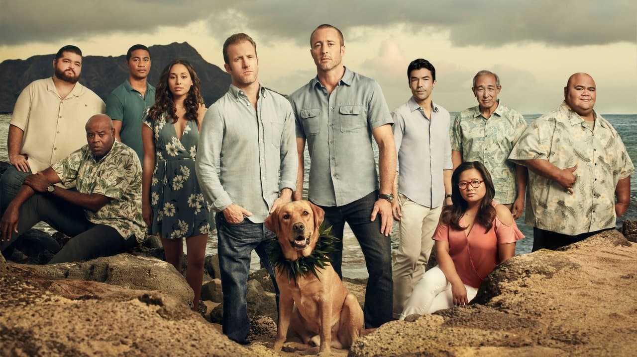 Hawaii Five-O (2010) - Season 6 (Import)