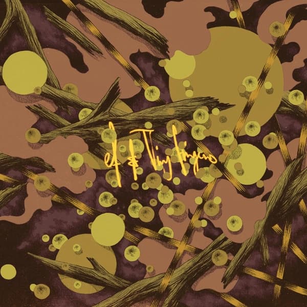 Ef & Tiny Fingers - Vayu (LP)
