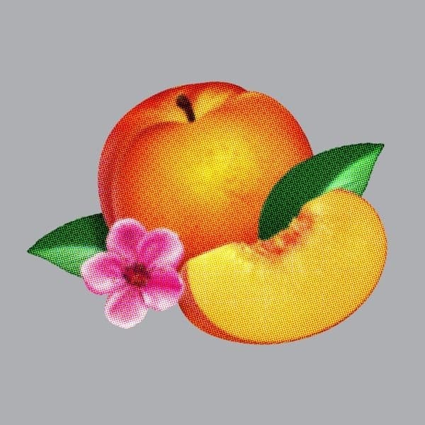 Phoenix - Bankrupt! (CD)