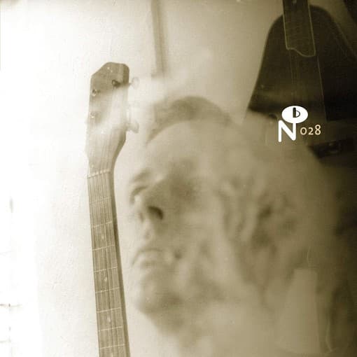 Various Artists - Wayfaring Strangers: Lonesome Heroes (2 LP)