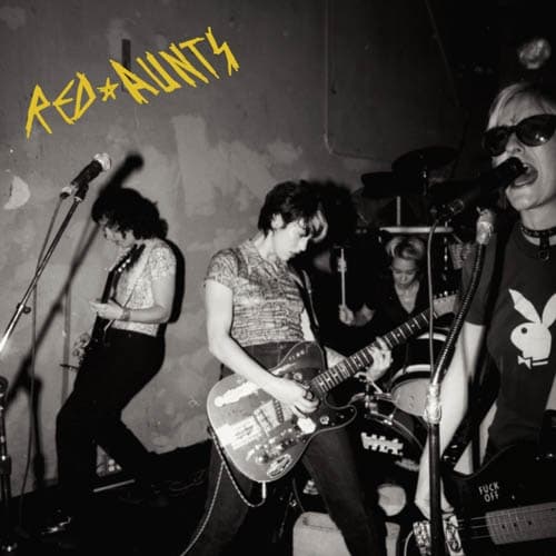 Red Aunts - Come Up For A Closer Look (2 LP)