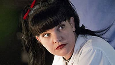 Ncis: Season 12 (Import)