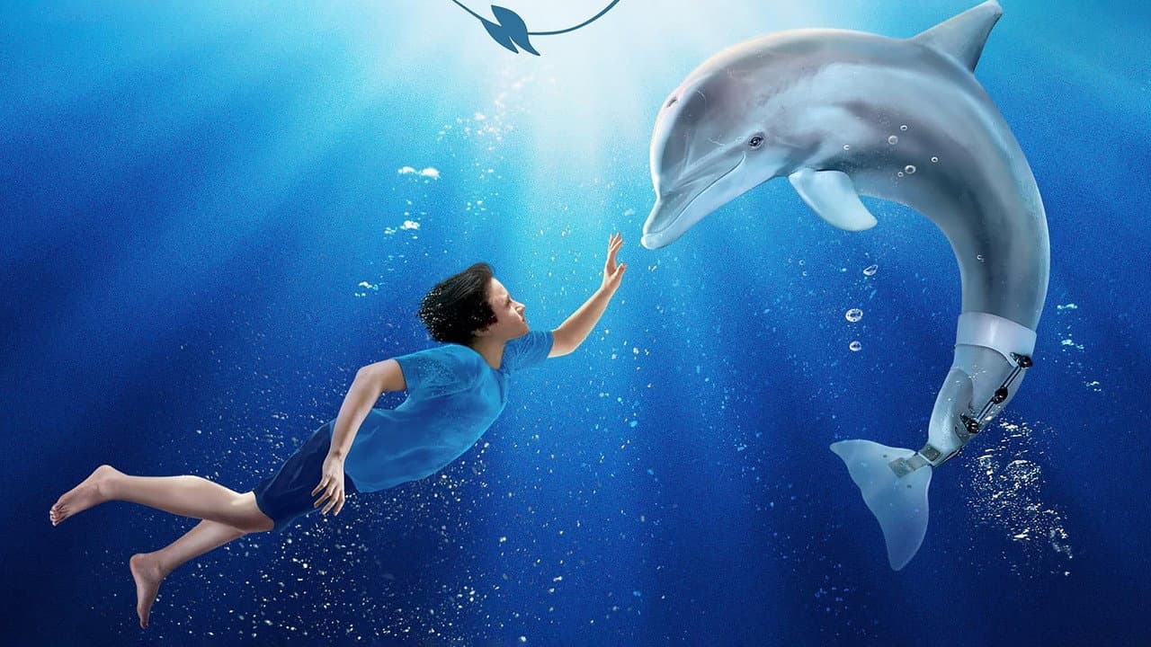 Dolphin Tale (DVD)