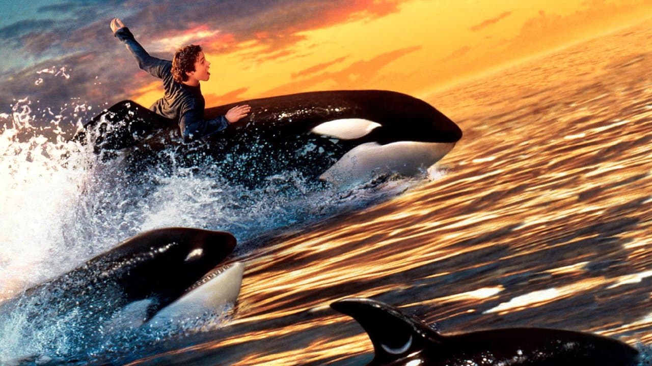 Free Willy 2  (DVD)