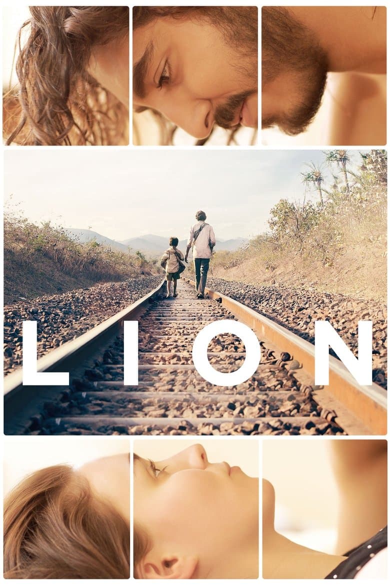 Lion (Import)