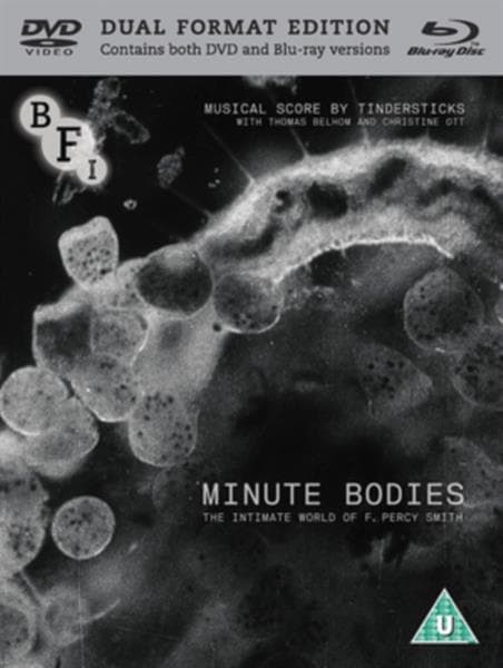 Minute Bodies (dual Format) (Import)