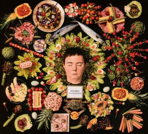 Sweet Baboo - Wild Imagination