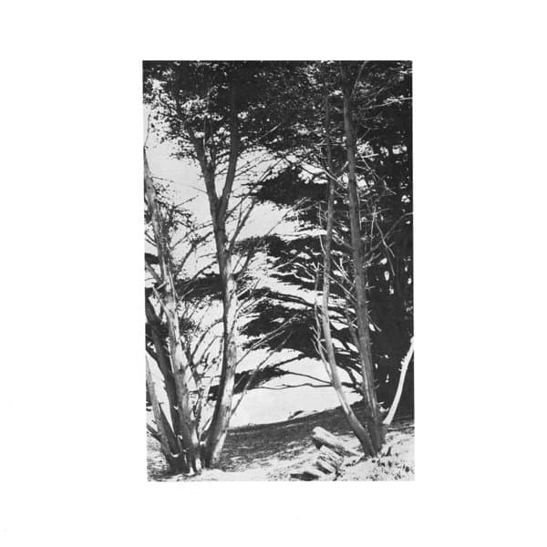 Rick Deitrick - Gentle Wilderness (LP)