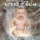 Mel Ashton - Feng Shui Voor De Baby Kamer (CD)