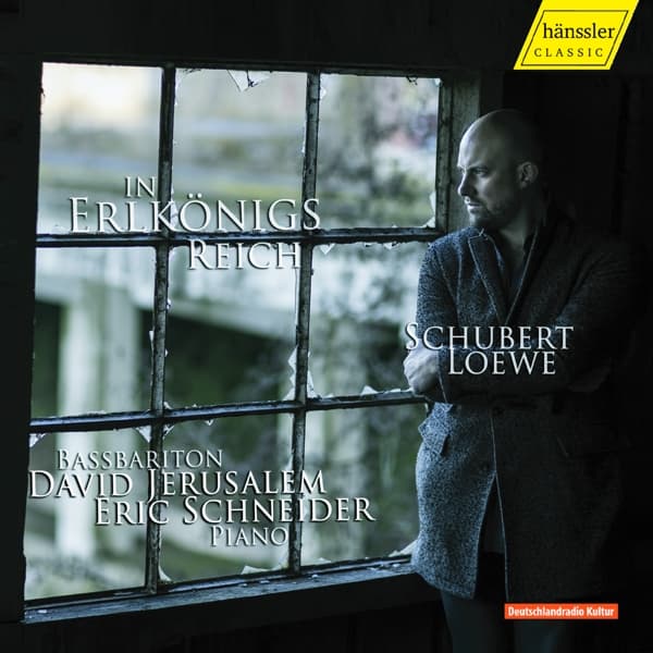 Eric Schneider - In Erlkönigs Reich (CD)