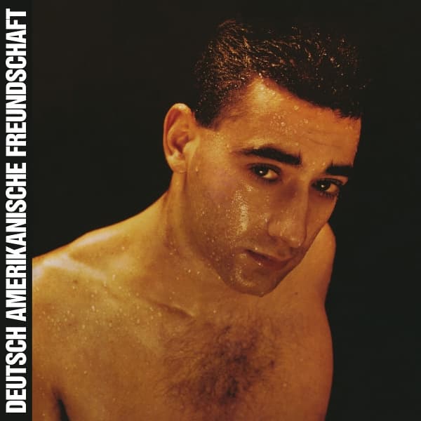 D.A.F. (Deutsch Amerikanische Freundschaft) - Alles Ist Gut (LP)