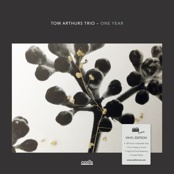 Tom Arthurs Trio - One Year (LP) (Limited Edition)