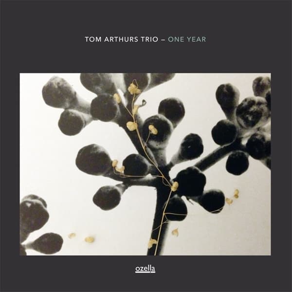 Tom Arthurs Trio - One Year (CD)