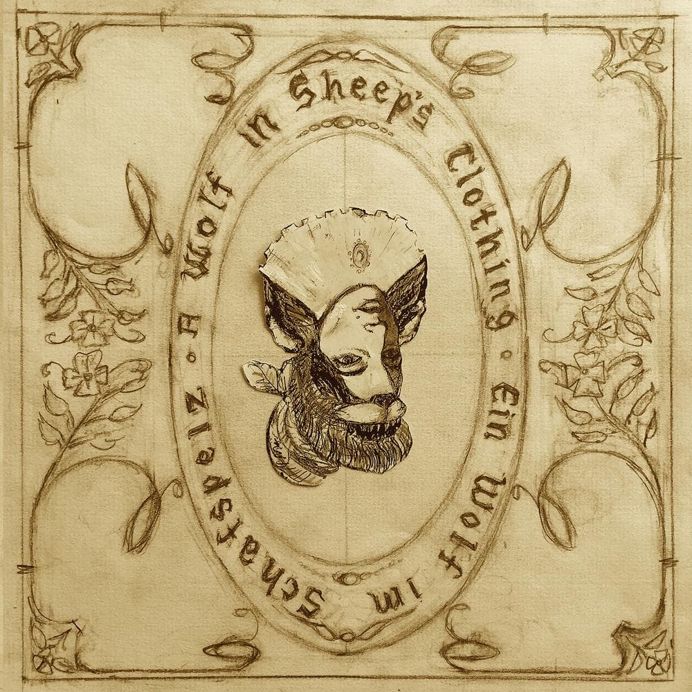 Josephine Foster - A Wolf In Sheep's Clothing (LP) (Limited Edition) (Remastered)