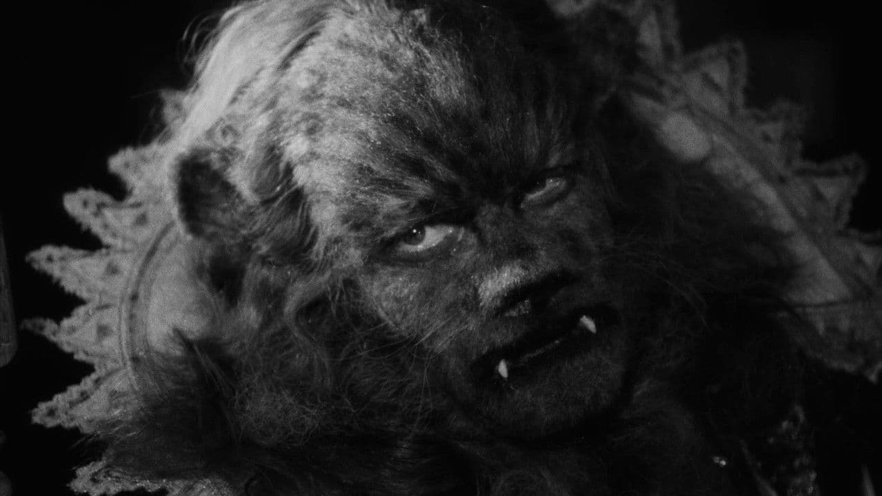 La Belle Et La Bete (Import)