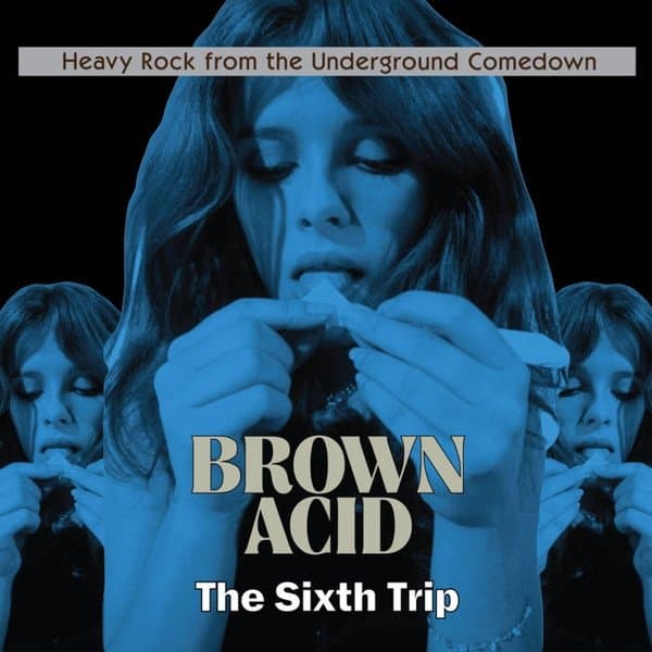 Various Artists - Brown Acid: The Sixth Trip (LP)