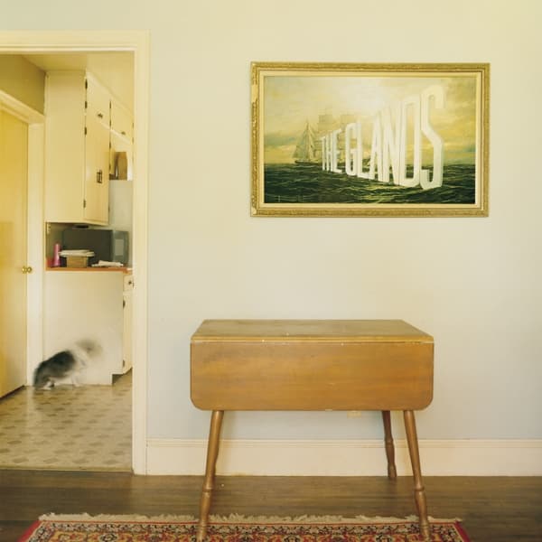 Glands - The Glands (2 LP)