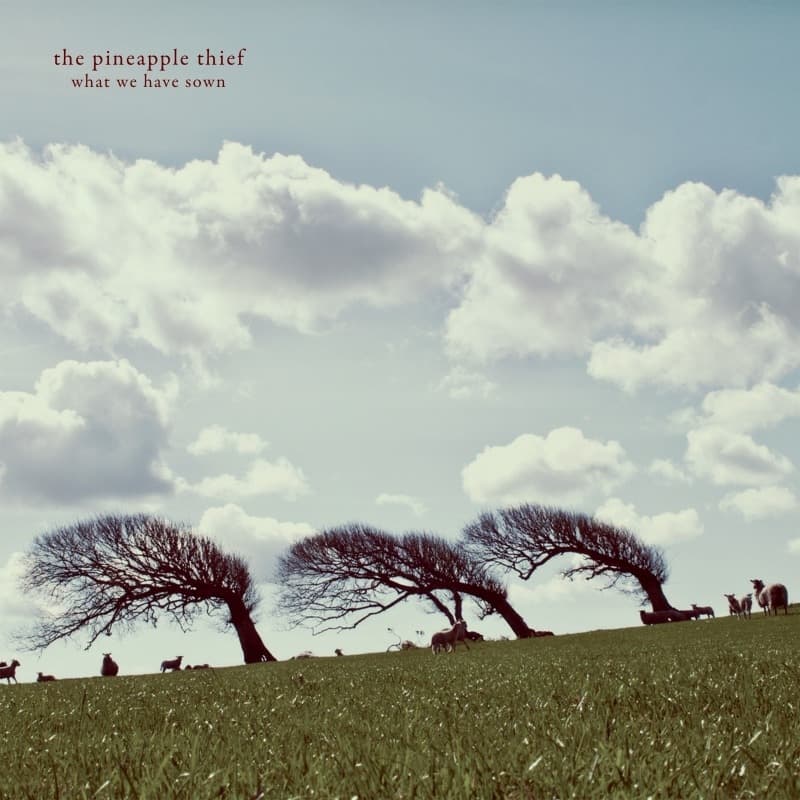 Pineapple Thief - What We Have Sown (2 LP) (Remastered)