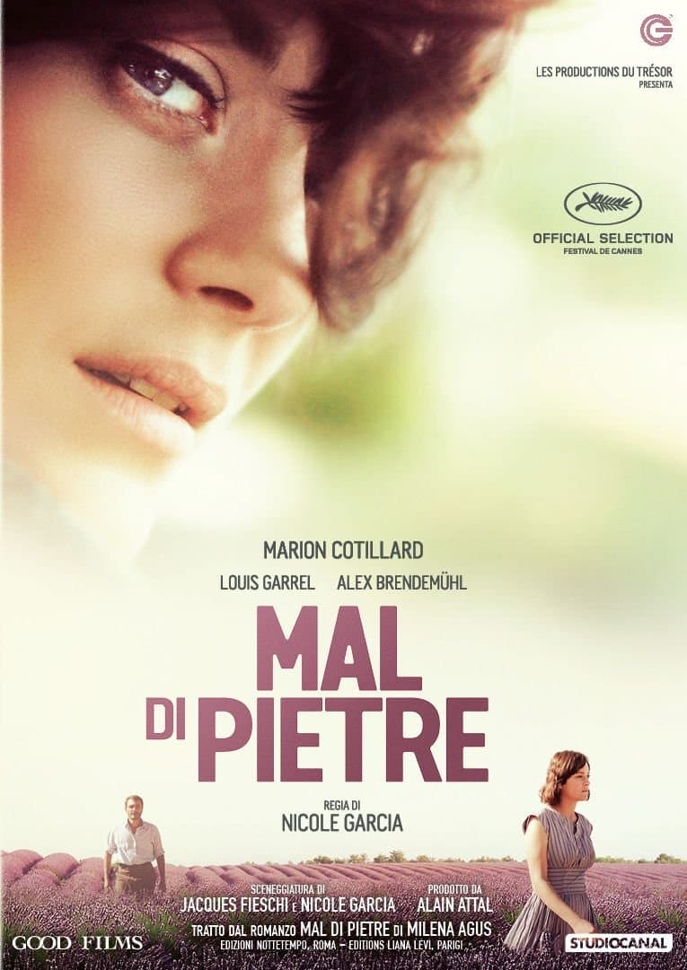 Cotillard,garrel,brendemuhl,rouan,du Bois,sau - Mal Di Pietre