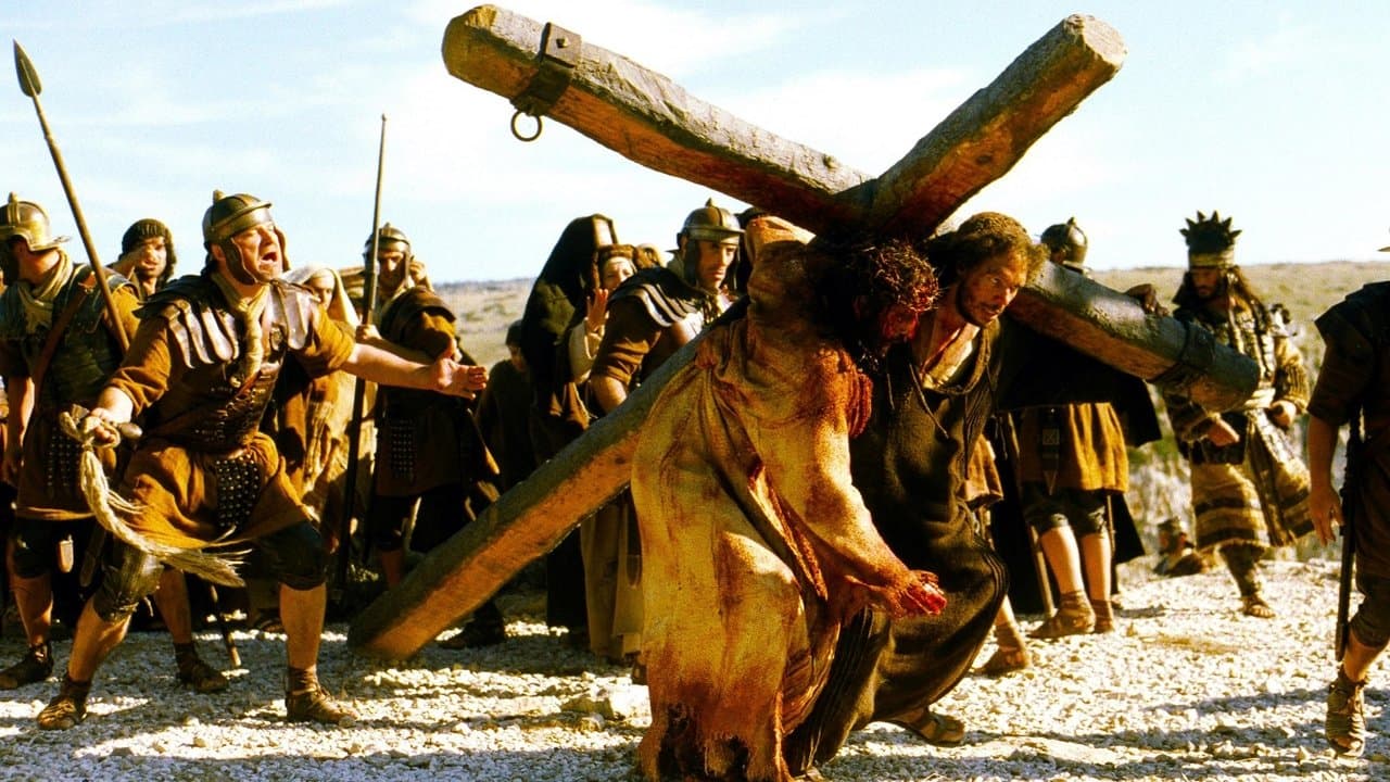 The Passion of the Christ (Import DE)