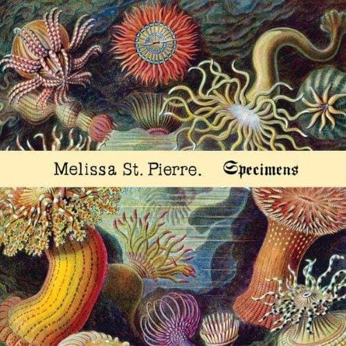 Melissa St. Pierre - Specimens