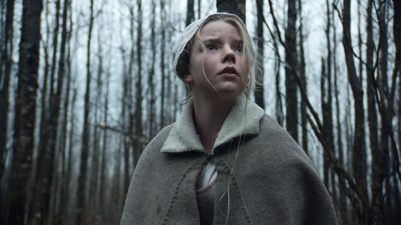 The Witch (Import)