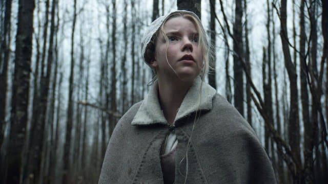 The Witch (Import)