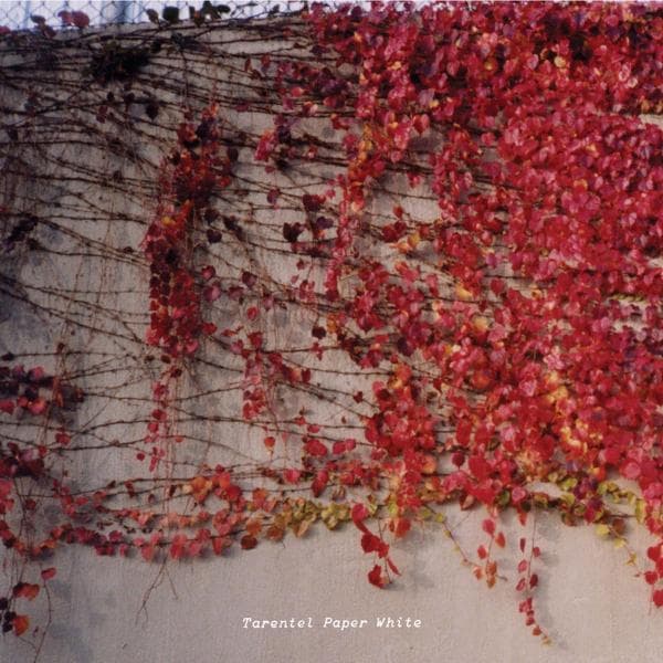 Tarentel - Paper White (CD)
