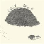 Silt - Cat's Peak (CD)