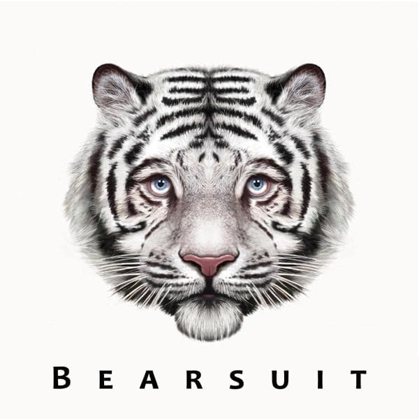 Bearsuit - The Phantom Forest (CD)