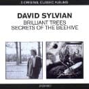 David Sylvian - Classic Albums