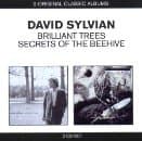David Sylvian - Classic Albums