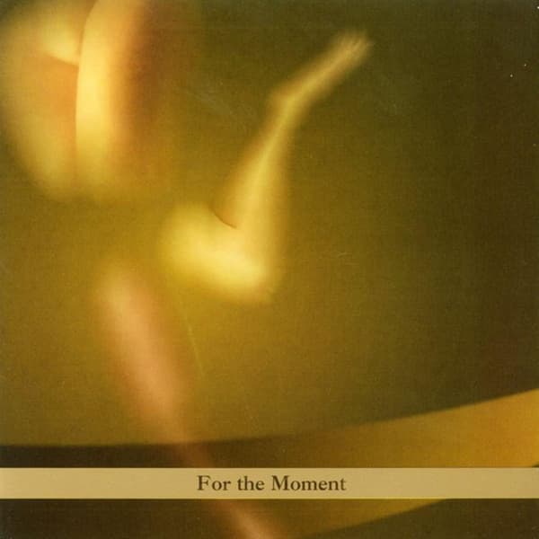 Paul Brody - For The Moment (CD)