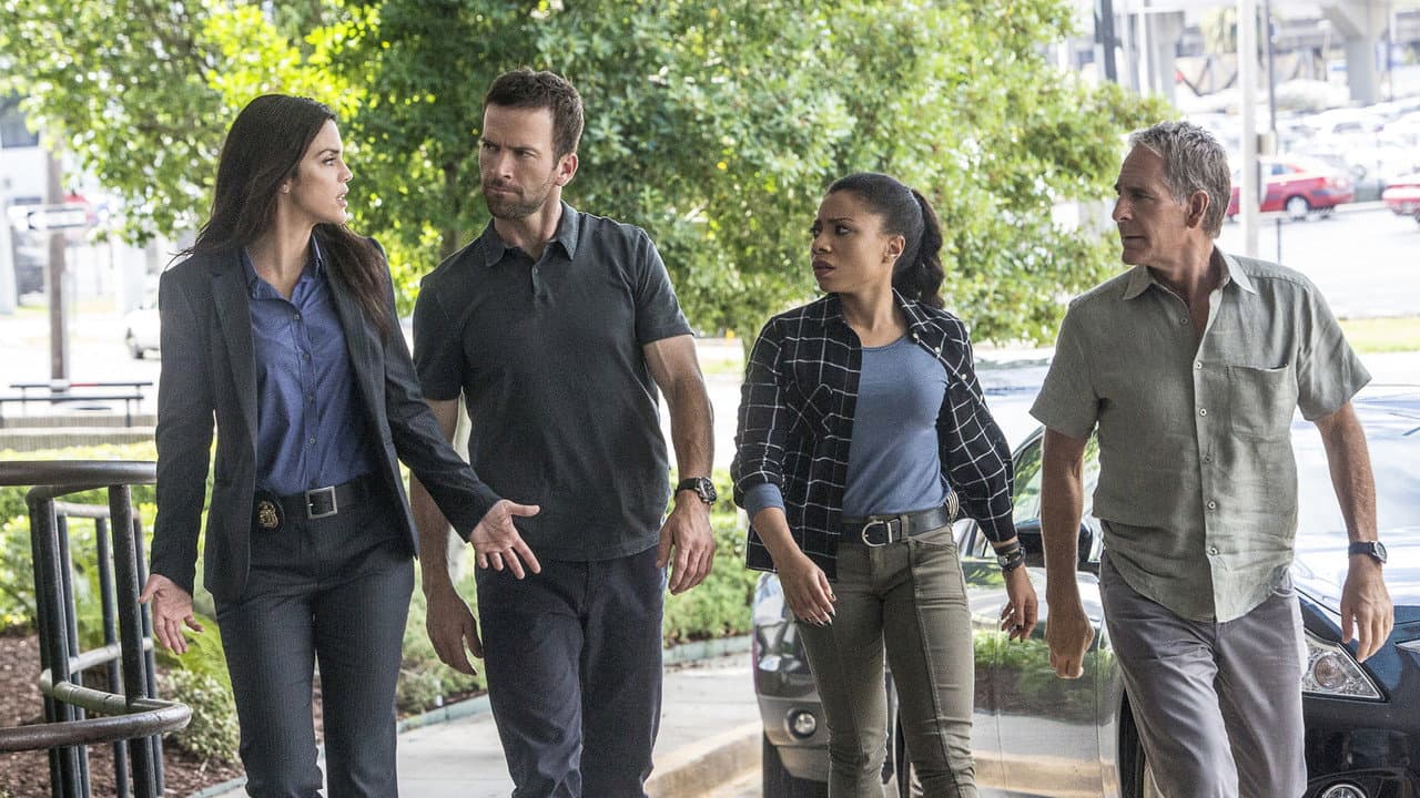 Ncis: New Orleans - Season 4 (Import)