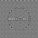 Carter Tutti Void - Transverse (CD)