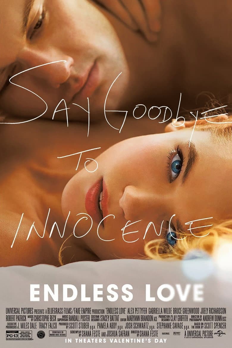 Endless Love (2014 Version) /dvd